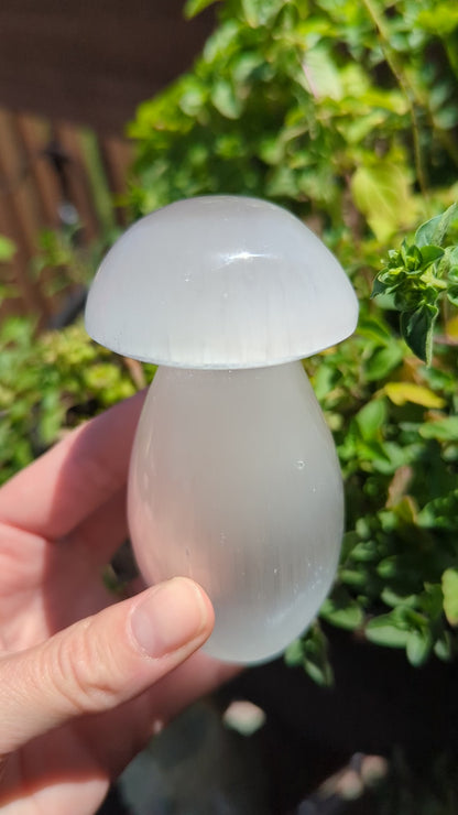 Selenite mushroom