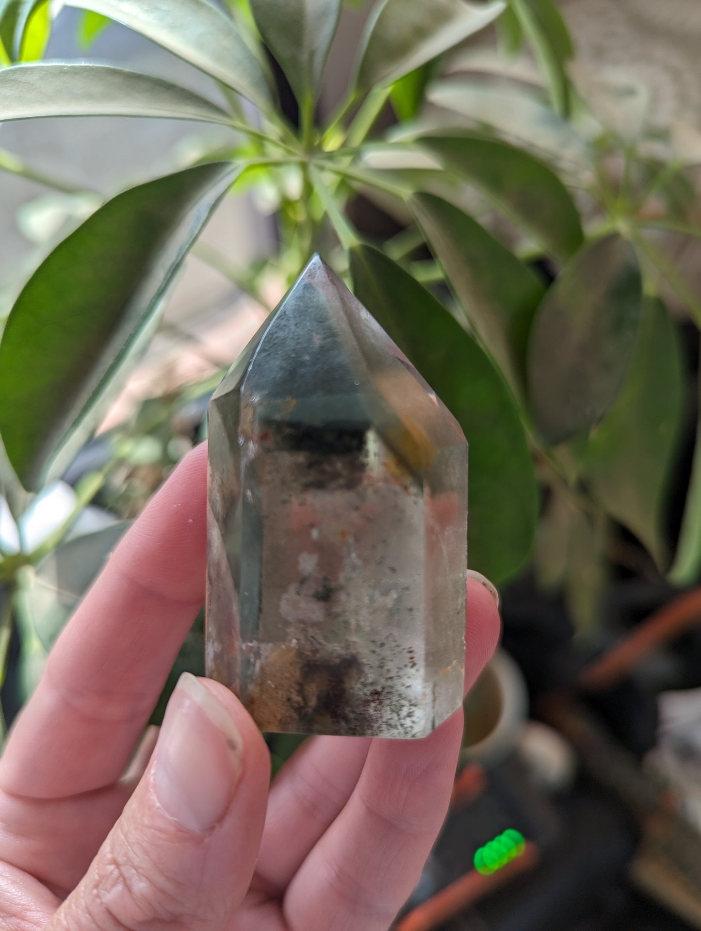 Phantom Garden Quartz point