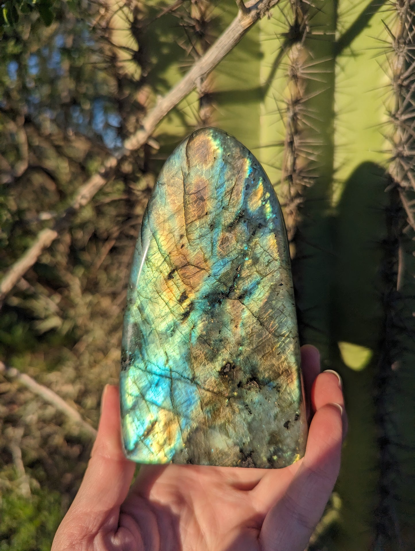 Labradorite slabs