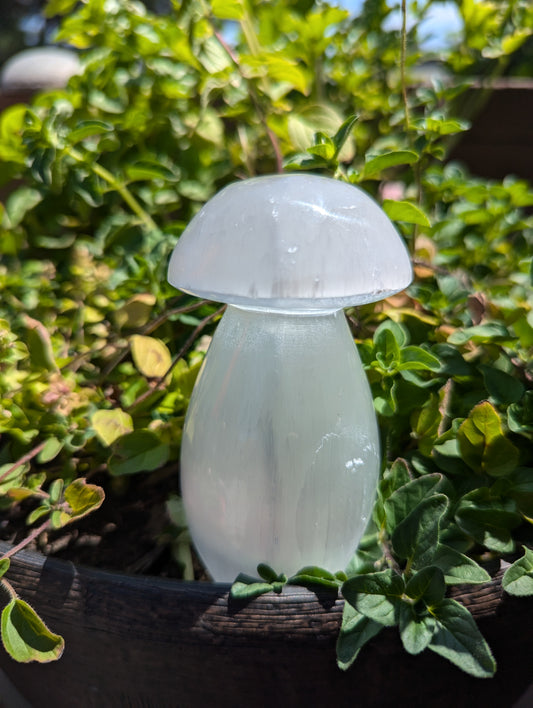 Selenite mushroom