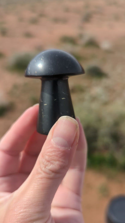 Shungite mushroom